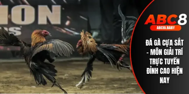 Đá gà cựa sắt